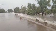 Západní Austrálii sužují silné deště, které způsobily masivní záplavy