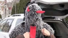 VIDEO: Horváth za mořem. Válí na ledě a byl i za čerta