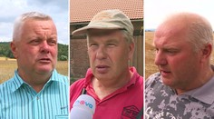 Spor o hraboše a jed trvá! Takhle problém vidí obyčejní zemědělci