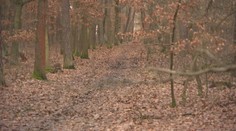 V Klánovickém lese se nevraždilo poprvé. Spojena je s ním spousta tragédií