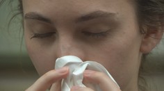 Alergiemi trpí až třetina Čechů. Alergologů ale pro ně není dost