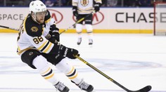 Pastrňák zase řádil, dařilo se i Čechům v Chicagu