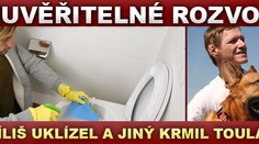 Neuvěřitelné rozvody: muž příliš uklízel a jiný krmil toulavé psy