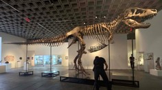 Kostra obřího tyranosaura má nového majitele. Prodala se za bezprecedentní částku