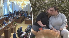 Manželství homosexuálů je opět na stole. Chtěli by taky adoptovat děti