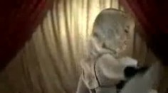 Aby chránili zvířata, vykuchali striptérku zaživa. VIDEO