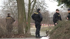 STRACH V BRNĚ: Zkrvavený vrah studentky (24) je stále na útěku! 