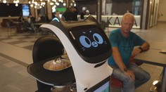 Kavárna v Teplicích hlásí novou posilu. Zákusky tam roznáší robotická kočka