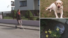 Úřady odmítly nevidomému přispět na nového psa! Prý na něj nemá nárok