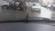 VIDEO: PTÁČEK za stěračem, HAD na kapotě! Co vám muže PŘISTÁT NA AUTĚ?