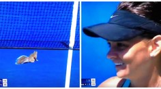 Tenistka nevěřila vlastním očím! Na US Open jí fandila veverka