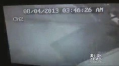 VIDEO: V USA natočili anděla! A ani neměl polámaná křídla!