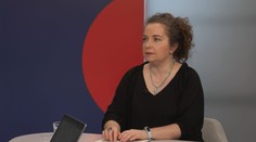Pomocí GPS jsme odhalili ilegální kácení starých lesů, říká aktivistka