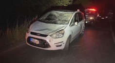Dvě dopravní nehody způsobilo stádo koní na silnici. Nehody se neobešly bez zranění