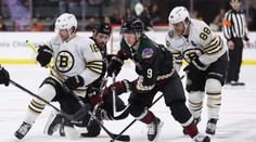 Pastrňák a Zacha zařídili gól, Boston přesto prohrál. Rittich vychytal Islanders