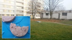Kladnem obchází "propichovač", lékař ze psa vytáhl 11 špendlíků!