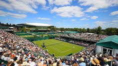 Neočkovaní tenisté mohou startovat na Wimbledonu, Djokovič obhajuje titul