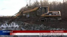 VIDEO: Na Dyji postavili přechod pro ryby