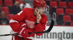 Zadina vystřelil Detroitu vítězství! Gólově se prosadil i Pastrňák