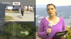 V Březové na Uherskohradišťsku ubil muž dva psy kovovou tyčí
