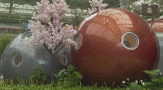 Sci-fi, nebo realita? Jak by se vám líbilo bydlet v obrovském kaštanu?