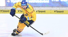 V Motoru končí extraligová ikona. K postupu chce pomoct Táboru