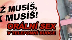 OBRAZEM: Orální sex v telefonní budce