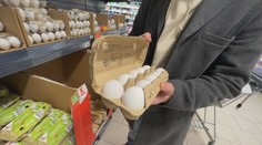 Vejce za pětikorunu aby člověk pohledal. Za vysoké ceny může nedostatek i USA