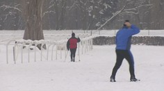 Běžkování na pardubickém závodišti dostalo bramborovou medaili