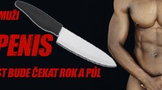Uřízla muži penis. Na trest bude čekat rok a půl