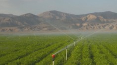 Boj o vodu v Kalifornii vyústil v soudní spor farmářů s místními