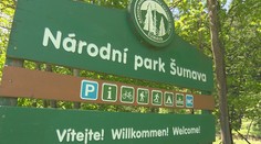 Herci z Policie Modrava prozradili, jestli lidé ničí Národní park Šumava