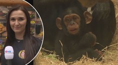 To je drahota! Zoo Plzeň patří mezi největší, oběd vyjde na pěkný balík