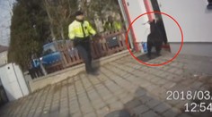 Marnivý kozel unikal strážníkům! Chytili ho, jak se kochá sám sebou