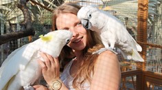 V Praze můžete vidět exotické ptáky. A navíc přispějete na dobrou věc