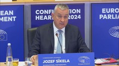 Síkela při grilování citoval Havla: Úkolem Evropy je znovu objevit své svědomí a odpovědnost