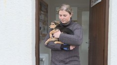 Chtěla dcerce pořídit štěně. Místo toho žena přišla o desetitisíce