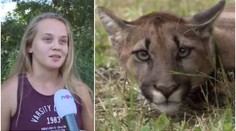 "Dívala se přímo na mě!" Zpověď dívky, která zahlédla pumu
