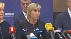 Vildumetzová končí kvůli vazbám na obviněného podnikatele ve vedení Sněmovny