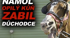Namol opilý kůň zabil důchodce
