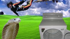 1001 neuvěřitelných způsobů, jak zemřít