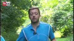 Napřímo Speciál s Vítem Rakušanem: Jak se vaří ve Sněmovně a za kolik?