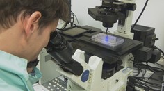 Převratný objev českých vědců. Pomůže v boji s odolnou bakterií