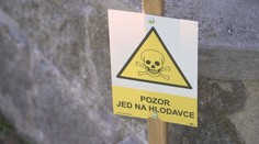 Muži vadil sousedův pes. Na zahradu mu dal neznámou látku, případ řeší policie