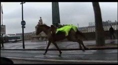 Splašený policejní kůň ohrožoval řidiče v centru města. VIDEO