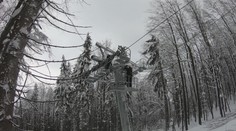 Na lanovku spadl strom, pryč musela stovka lidí. Vyšetřování skončilo