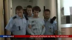 VIDEO: Rozřezal přítelkyni na kusy, čelí obžalobě