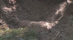 Děti našly na Vyškovsku funkční granát. Zakopaly ho do země a šly do školy
