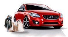 Pětikilový pejsek roztrhal Volvo