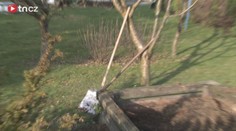 Zavražděného muže našli v hnoji. Měl useknutou hlavu. Vrah je za mřížemi